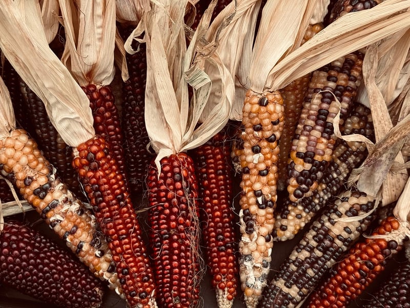 Harvest festival decorations