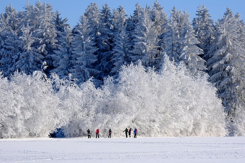 Winter wonderland landscape